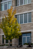 Campus Fall - Oct 2026