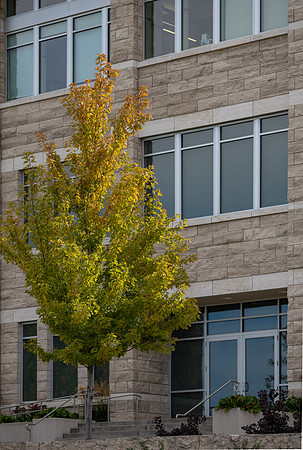 Campus Fall - Oct 2026