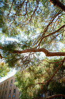 Sunny Fall Day - Sept. 2026