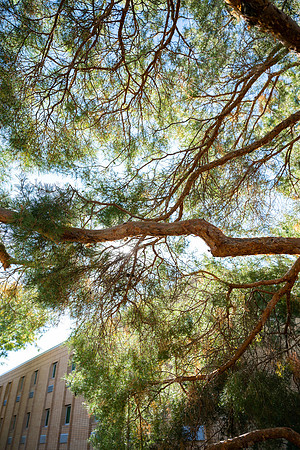 Sunny Fall Day - Sept. 2026