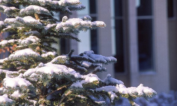 Ricks College Campus. October 2002.