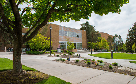 The old addition of the David O. McKay Library framed in by a maple tree.