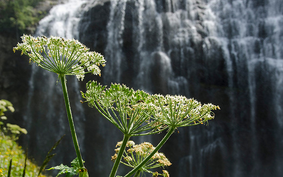 Union Falls Hike: A 17 mile hike round trip and you cross the river 4 times each way.  A very rewarding hike with a beautiful view of Union Falls. Then the real joy is to jump into Ouzel Pool which is