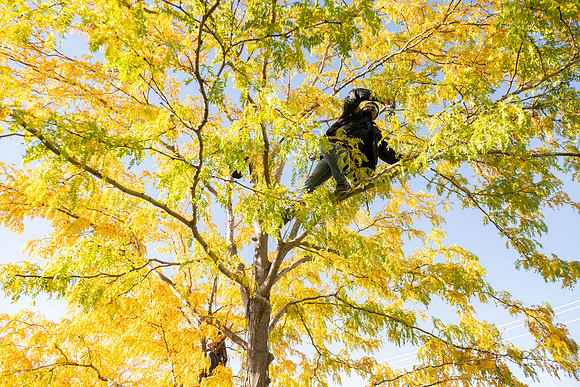 Christmas Light Crew - Oct 2026
