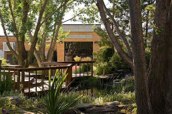 The Ezra Taft Benson Building framed through the trees and garden pond.