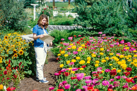 Employee looking at the Flowers in the Gardens