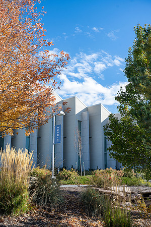 Chill Fall Day - Oct. 2025