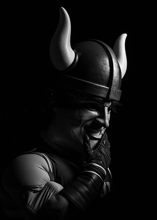 Viking Promo - Oct. 2026