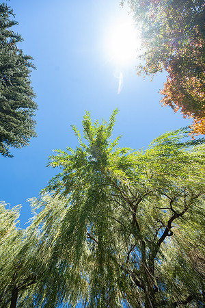 Fall Vibes - Sept 2026