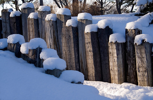 Winter beauty in the Thomas E Ricks Gardens.