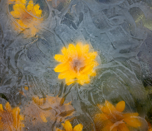 Glass Photo Painting - Oct 2026
