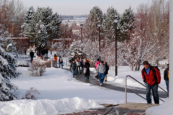 Winter beauty in the Thomas E Ricks Gardens.