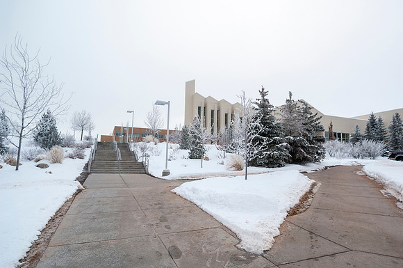 Winter frosts settles on the trees in front of the Taylor Building.