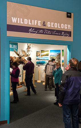 BYU-Idaho worked with the Teton Geotourism Center in Driggs, Idaho, creating a Wildlife and Geology exhibit of pieces from the Biology and Geology museums at BYU-Idaho. A ribbon cutting was held for a