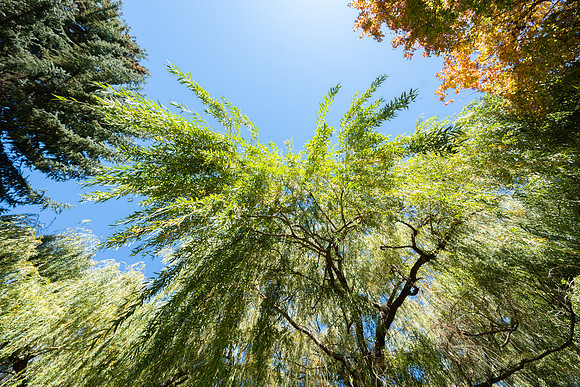 Fall Vibes - Sept 2026