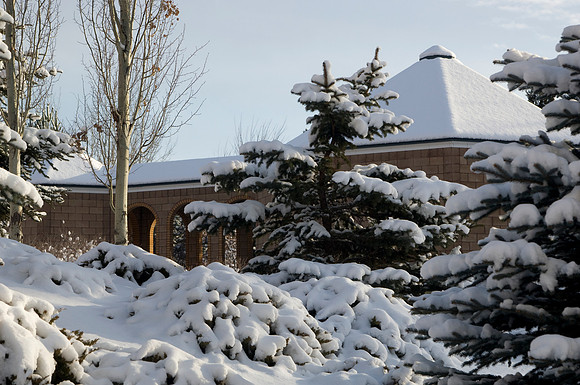 Winter beauty in the Thomas E Ricks Gardens.