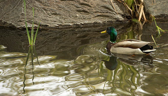 Spring is here and students are enjoying the beautiful campus sights.