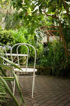 Pictures inside the greenhouse before the Spring Semester begins.
