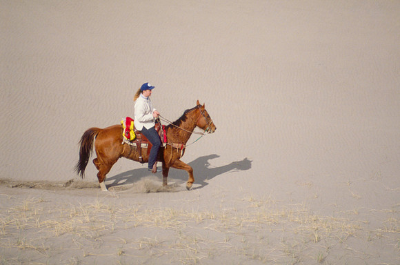 Biology students take a Field Trip to the Sand Dunes to go horseback riding with Mel Griffeth.
