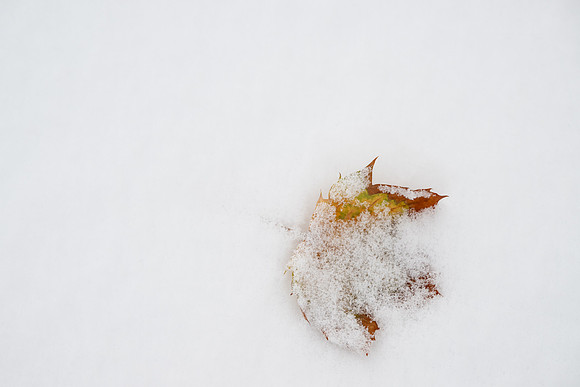 Campus Snow - Nov 2024