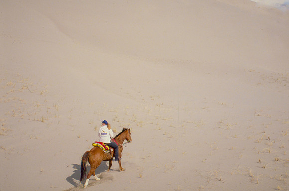 Biology students take a Field Trip to the Sand Dunes to go horseback riding with Mel Griffeth.