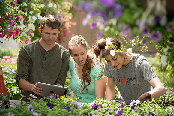 Johnny Church, Erin Christensen and Chelsea Botteron use an iPad to help analyze the plants they are going to be selling.