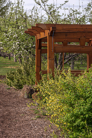 Spring is here and students are enjoying the beautiful campus sights.