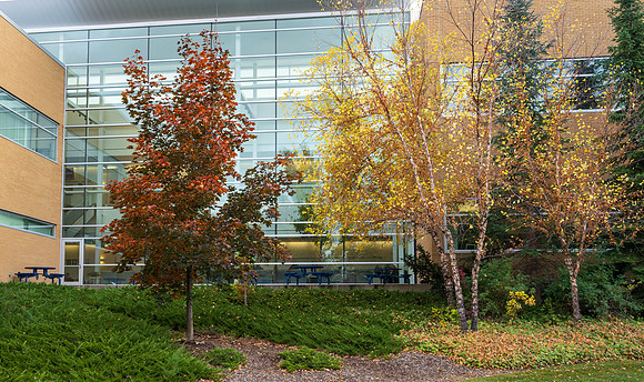 Ricks Building - Oct 2024