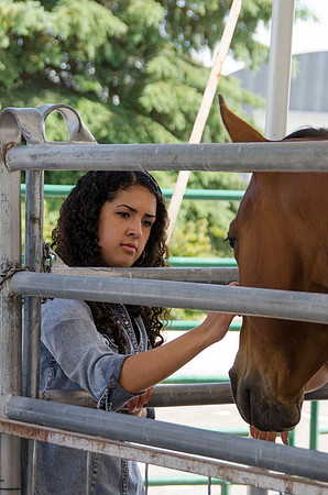 Student petting a horse at BYU-Idaho's first Ag Days,