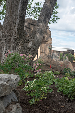 Flowers are in bloom and new additions to the plant life have appeared in the gardens.
