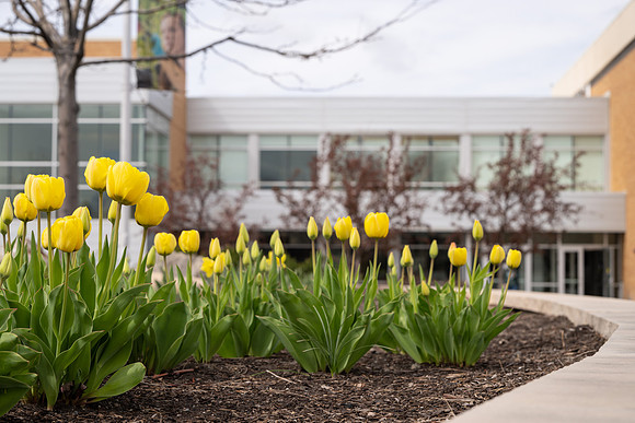 Campus Flowers - April 2024