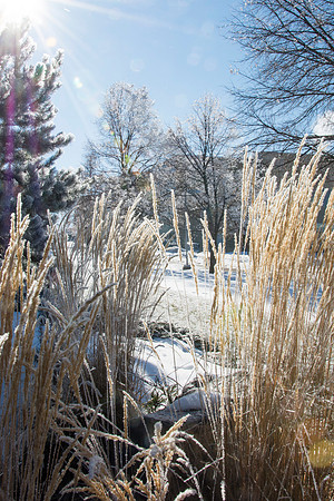 Frost covers campus early morning during Winter Semester.