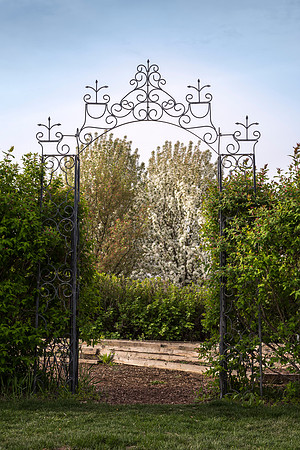 Spring is here and students are enjoying the beautiful campus sights.