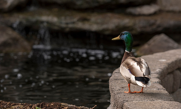 Spring is here and students are enjoying the beautiful campus sights.