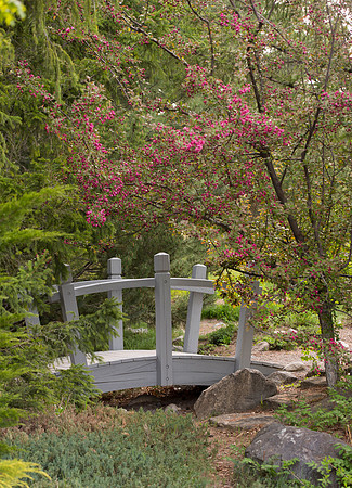 Spring is here and students are enjoying the beautiful campus sights.
