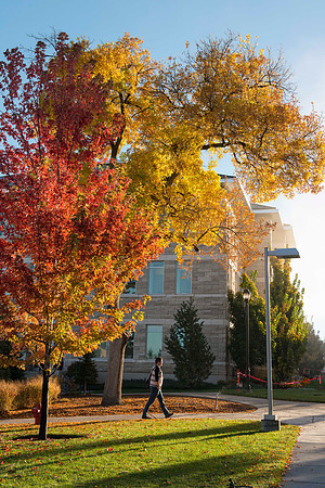 A student walks to campus on a beautiful fall morning.
