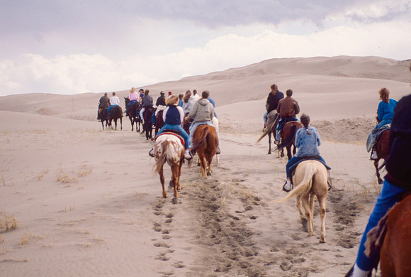 Biology students take a Field Trip to the Sand Dunes to go horseback riding with Mel Griffeth.