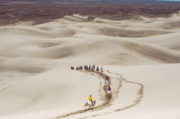 Biology students take a Field Trip to the Sand Dunes to go horseback riding with Mel Griffeth.
