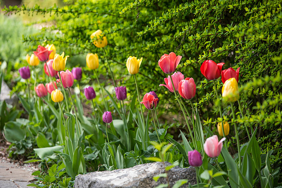 Spring is here and students are enjoying the beautiful campus sights.