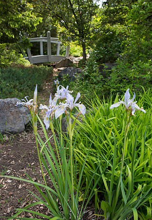 Water features in the Ricks Horticulture Gardens create a place of peace and tranquility.