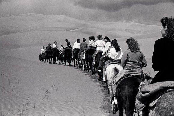 Biology students take a Field Trip to the Sand Dunes to go horseback riding with Mel Griffeth.