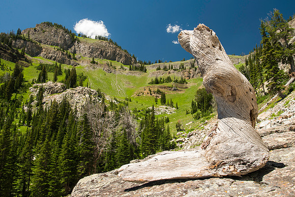 A massive rock buttress, several hundred feet tall on the South boundry of the Jackson Hole Ski resort. (Rock climbing video shoot directed by Michael Ballard and assisted by Taylor Ray. Scott Hurst b