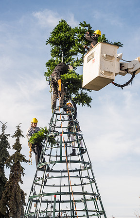 The BYU-Idaho ground keeping crew set up a christmas tree in front of the Taylor chapel. Fall Semester.