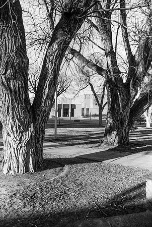A view of the Eliza R. Snow Building on Campus