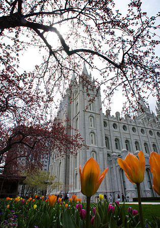 Salt Lake City Temple- APR 2011