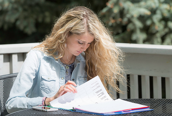 Quiet study place in the Gardens.