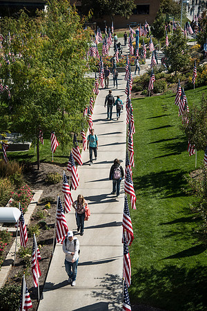 500 flags displayed in the Central Quad on Constitution Day.