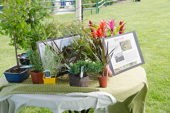 Table and plants in horticulture booth at BYU-Idaho's first Ag Days