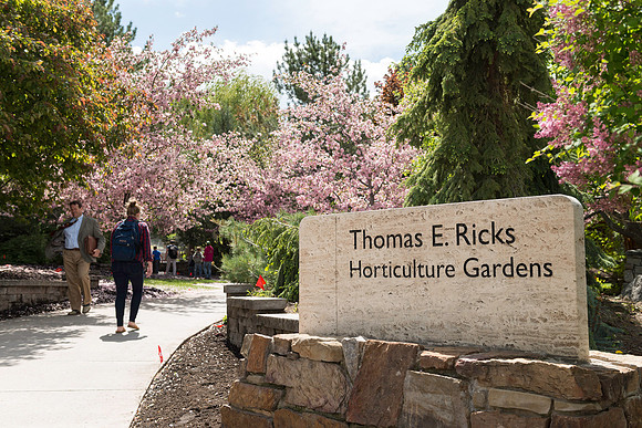 Spring in full bloom in the gardens.