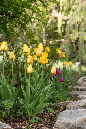 Spring is here and students are enjoying the beautiful campus sights.